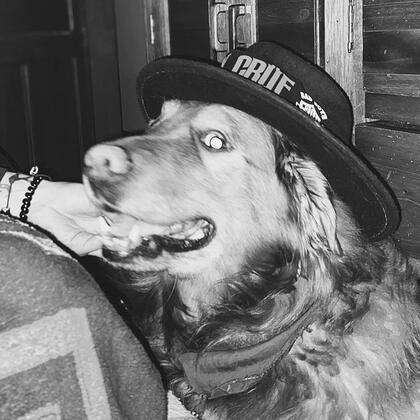 THE DOG